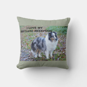 Cojín Decorativo shetland-sheepdog-azul merle blanco tan amor con f