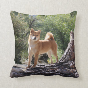 Cojín Decorativo Shiba inu