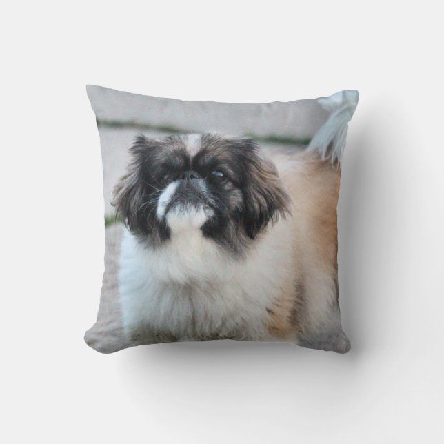Cojín Decorativo Shih Tzu (Anverso)