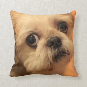 Cojín Decorativo Shihtzu