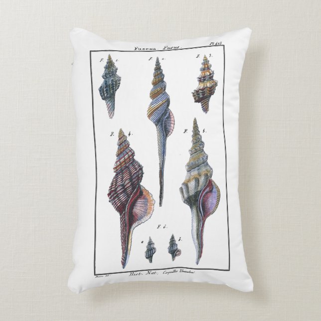 Cojín Decorativo Siete Agujas Coloridas (Frente (Vertical))