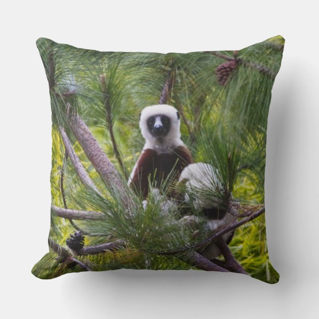 Cojín Decorativo Sifaka de Coquerel en el bosque (Anverso)