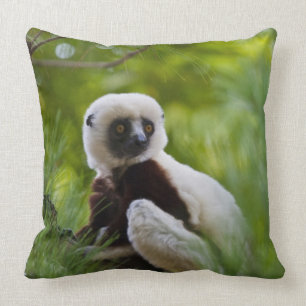 Cojín Decorativo Sifaka de Coquerel en el bosque 2