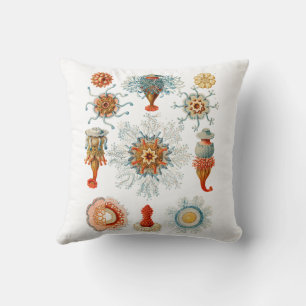 Cojín Decorativo Sifonóforo de Haeckel de época Vida Marina Medusa