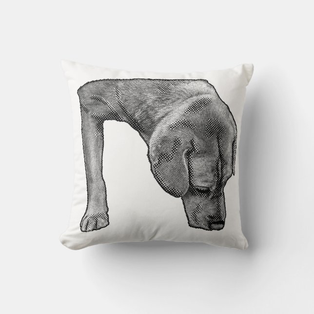 Cojín Decorativo Silla acogedora, Dotty Scout (Anverso)