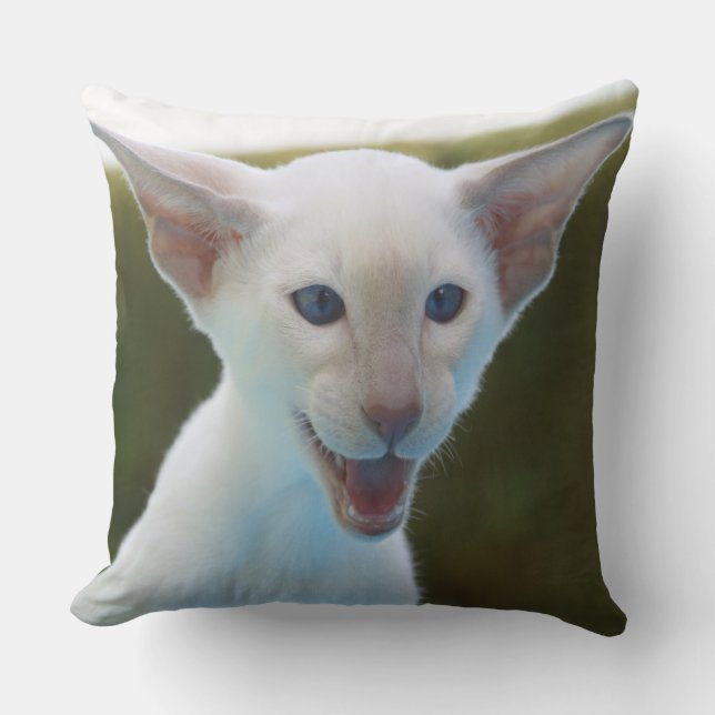 Cojín Decorativo Silly Siamese (Anverso)