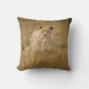 COJÍN DECORATIVO SIN LONES EN LA GRASA