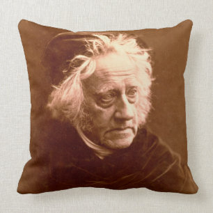 Cojín Decorativo Sir Juan Frederick William Herschel (1792-1871) 18