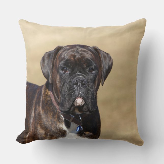 Cojín Decorativo Situación Brindle del perro del boxeador (Anverso)