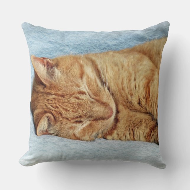 Cojín Decorativo Sleepy Kitty (Anverso)