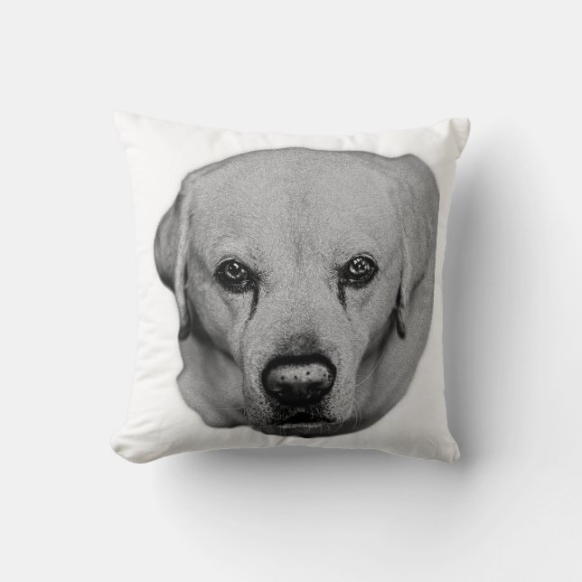 Cojín Decorativo Sofa Guardian, mirada suave (Anverso)