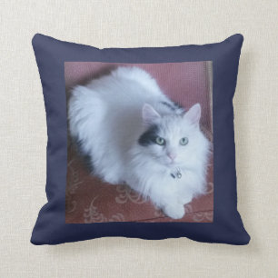 Cojín Decorativo Sofá lindo de pelo largo mimoso del gato mullido