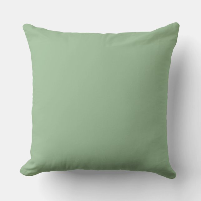 Cojín Decorativo Soft Green,Lovely, Solid, Modern, Simple, Trendy (Anverso)