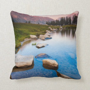 Cojín Decorativo Soledad del lago