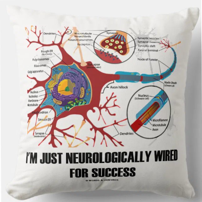 Cojín Decorativo Solo estoy conectado neurológicamente para el éxit (Throw pillow featuring neuron/synapse for anyone who is just neurologically wired for success!)