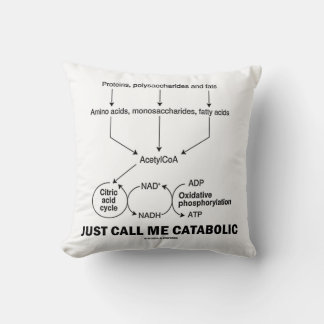Cojín Decorativo Sólo Llámame Catabólico (Catabolismo)