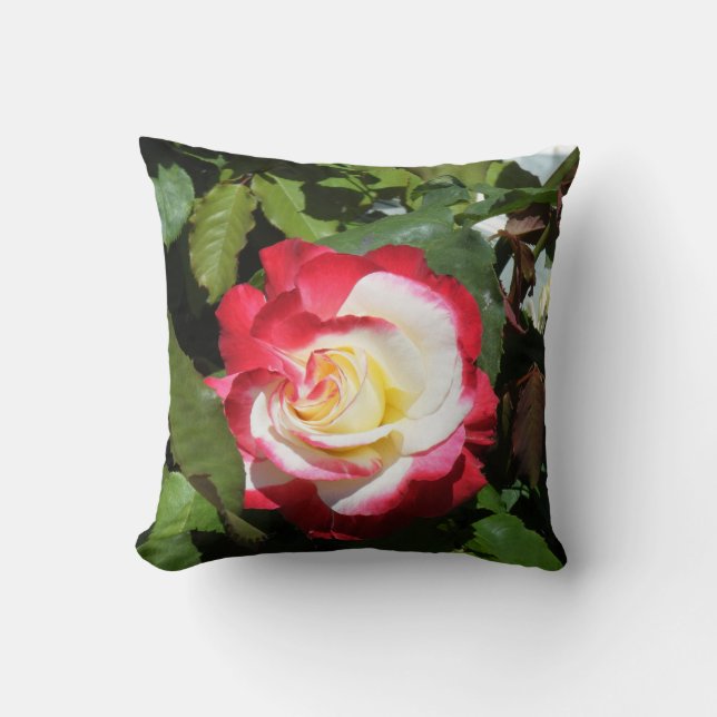 Cojín Decorativo Soporte con la isla magnífica inclinada rojo del (Anverso)