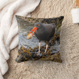 Cojín Decorativo Sorprendente Oystercatcher Shorebird con clam