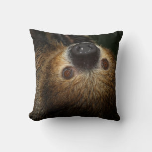 Cojín Decorativo Southern Two-Toed Sloth