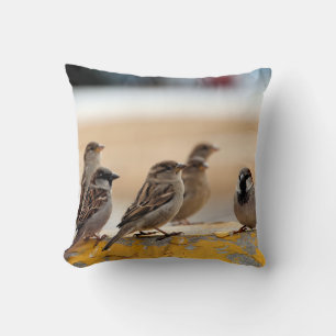 Cojín Decorativo Sparrows