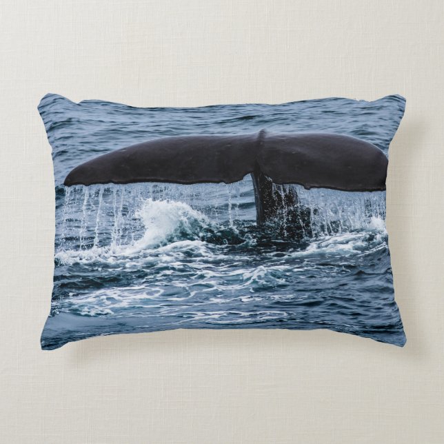 Cojín Decorativo Sperm Whale (Anverso)