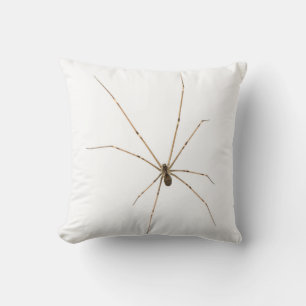 Cojín Decorativo Spider