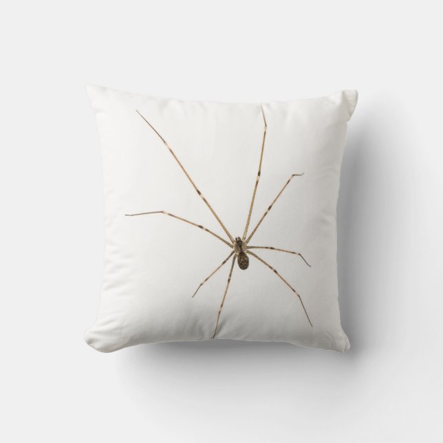 Cojín Decorativo Spider (Anverso)