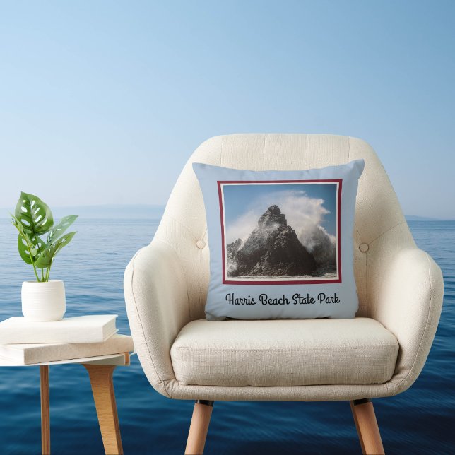 Cojín Decorativo Spray marino en el Parque Estatal Harris Beach (Subido por el creador)