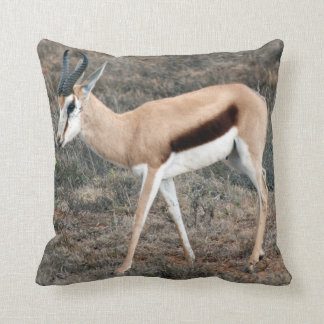 Cojín Decorativo Springbok