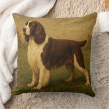 Springer Spaniel Inglés