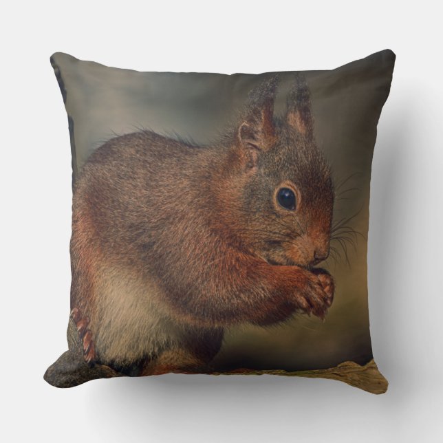 Cojín Decorativo Squirrel (Anverso)