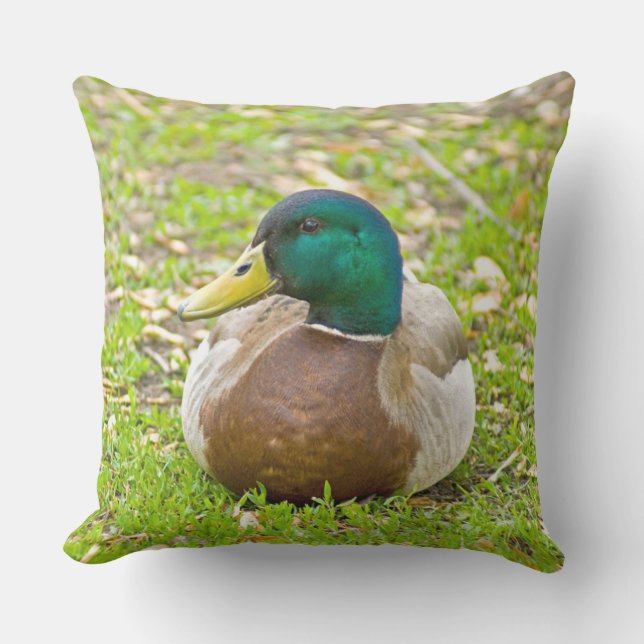 Cojín Decorativo Sr. Mallard el Pato (Anverso)