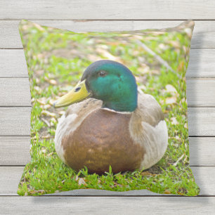 Cojín Decorativo Sr. Mallard el Pato