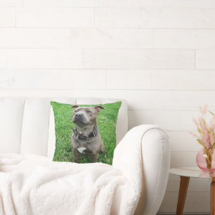 Cojín Decorativo Staffordshire Bull Terrier Sentado A La Atención,