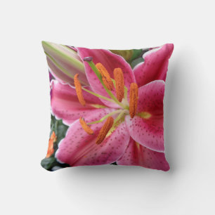 Cojín Decorativo Stargazer