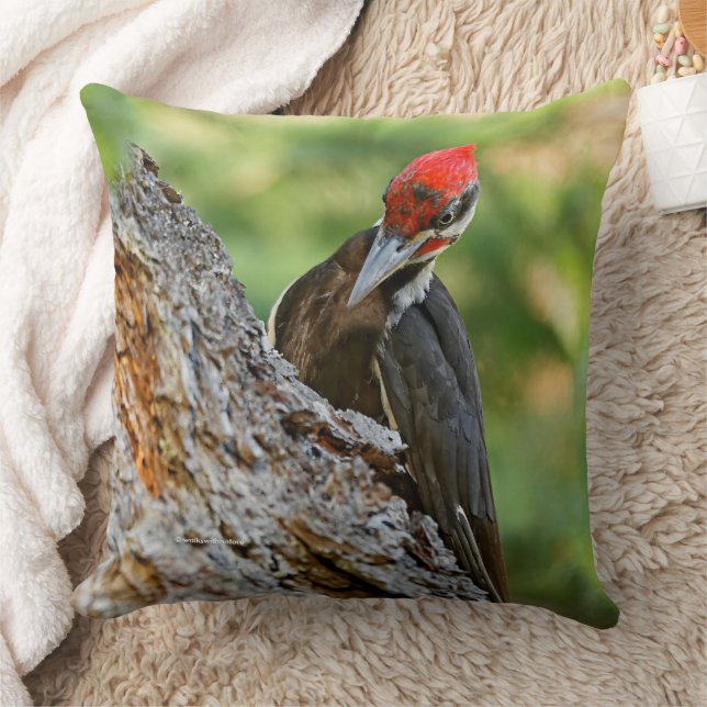 Cojín Decorativo Stunning Portrait of Pileated Woodpecker in Tree (Manta)