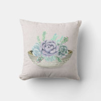 Suculentas plantas cultivadas en Terrazzo