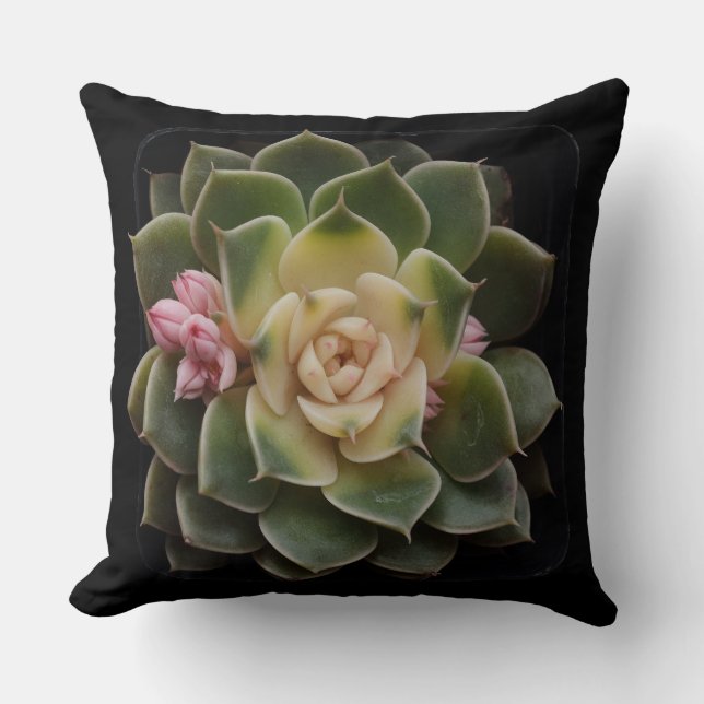 Cojín Decorativo Suculento (Anverso)