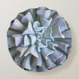 Cojín decorativo suculento redondo