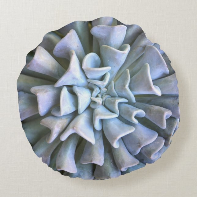 Cojín decorativo suculento redondo (Reverso)