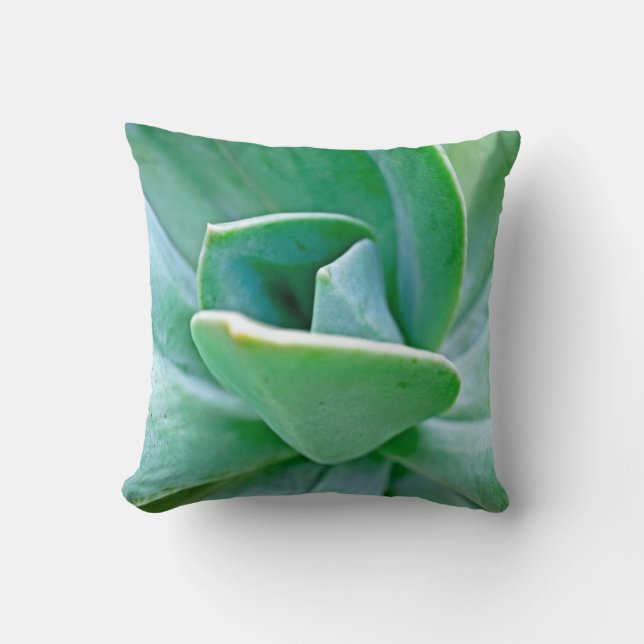 Cojín Decorativo Suculento Swirl (Anverso)