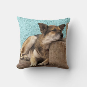 Cojín Decorativo Sudamérica, Chile, Valparaíso. Alemán