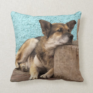 Cojín Decorativo Sudamérica, Chile, Valparaíso. Alemán