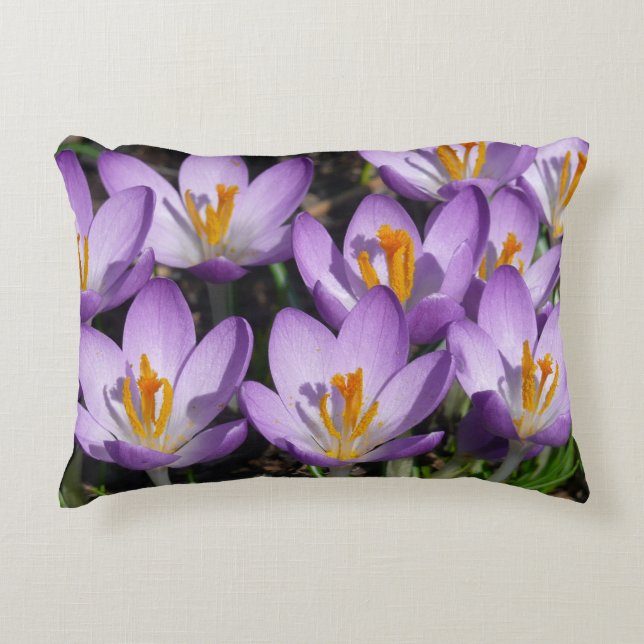 Cojín Decorativo Sunny Purple Crocuses (Anverso)