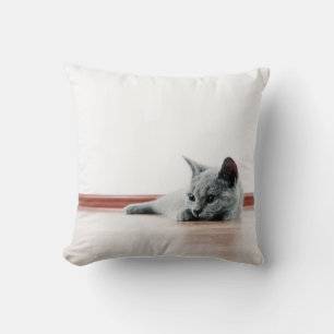 Cojín Decorativo Súper Cuto de Gato Gato Frío de Escocia