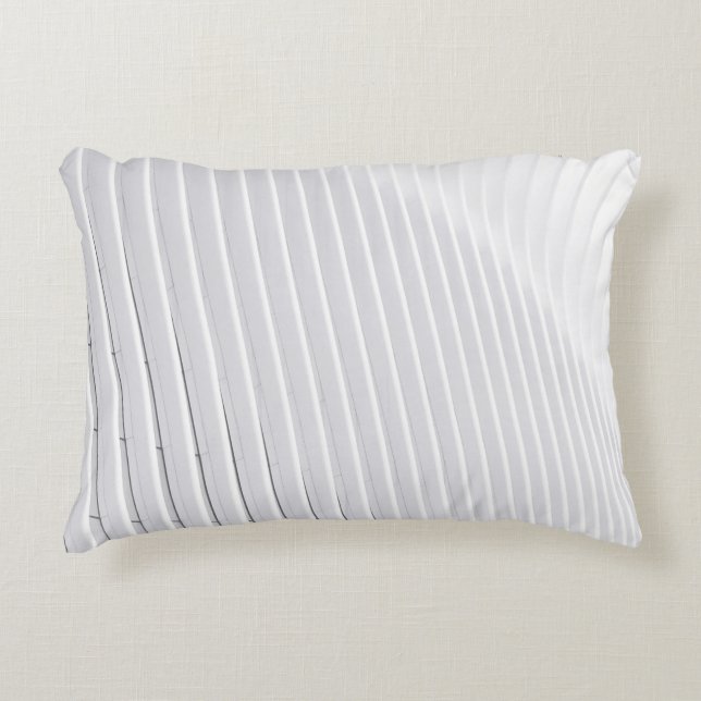 Cojín Decorativo Superficie blanca (Anverso)