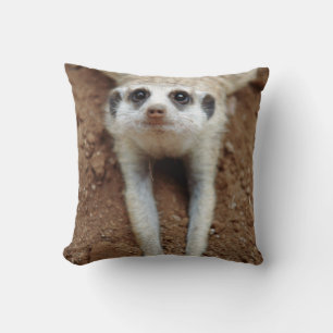 Cojín Decorativo Suricata (Suricata suricatta) enfriándose