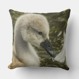 Cojín Decorativo Swan De Bebés Y Pluma
