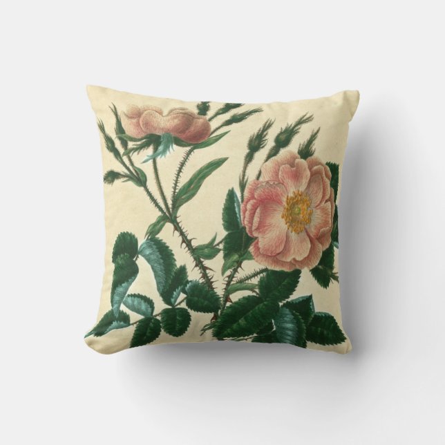 Cojín Decorativo Sweet Briar Rosa (Anverso)