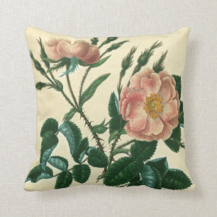 Cojín Decorativo Sweet Briar Rosa